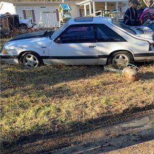 Meet your Posher, Warren